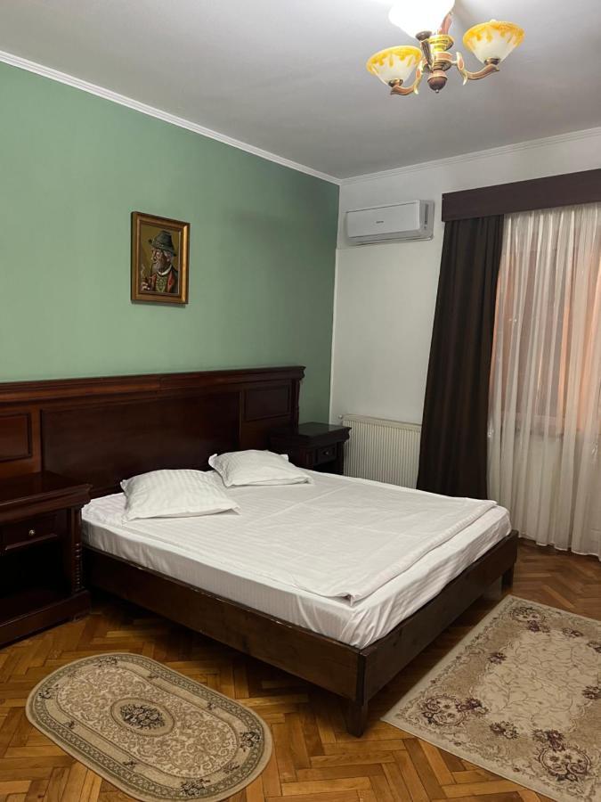 Pensiunea Diana Hotel Făgăraş Kültér fotó