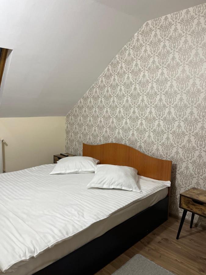 Pensiunea Diana Hotel Făgăraş Kültér fotó
