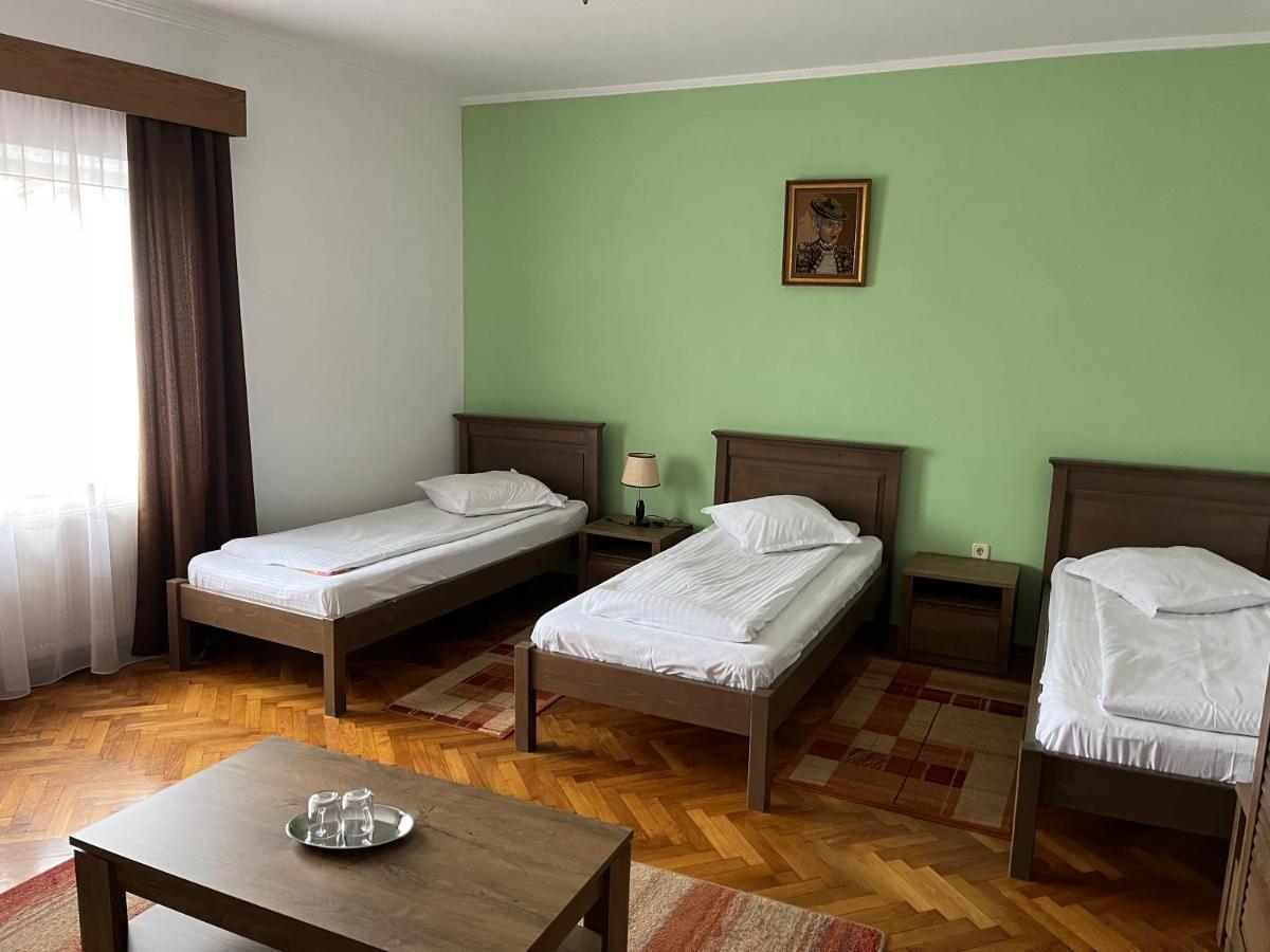 Pensiunea Diana Hotel Făgăraş Kültér fotó