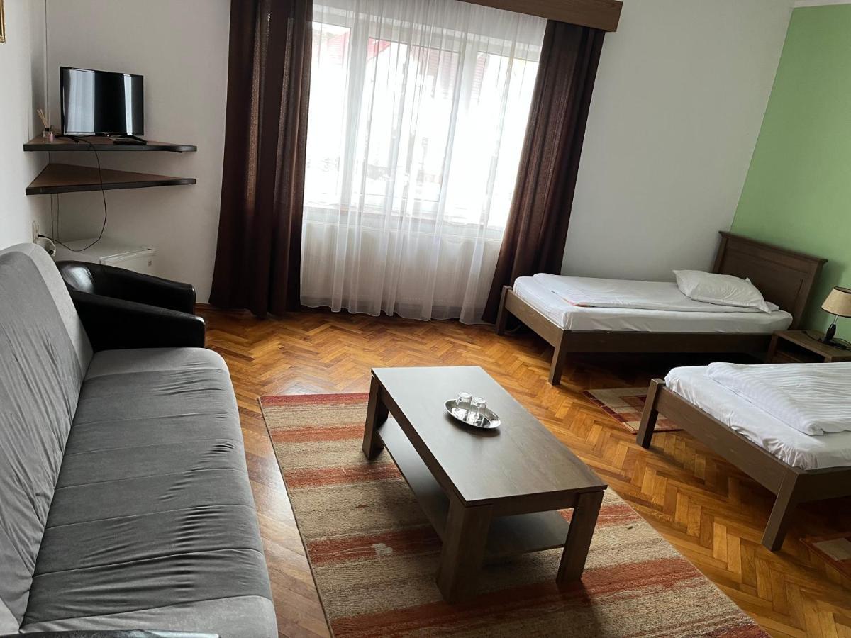 Pensiunea Diana Hotel Făgăraş Kültér fotó