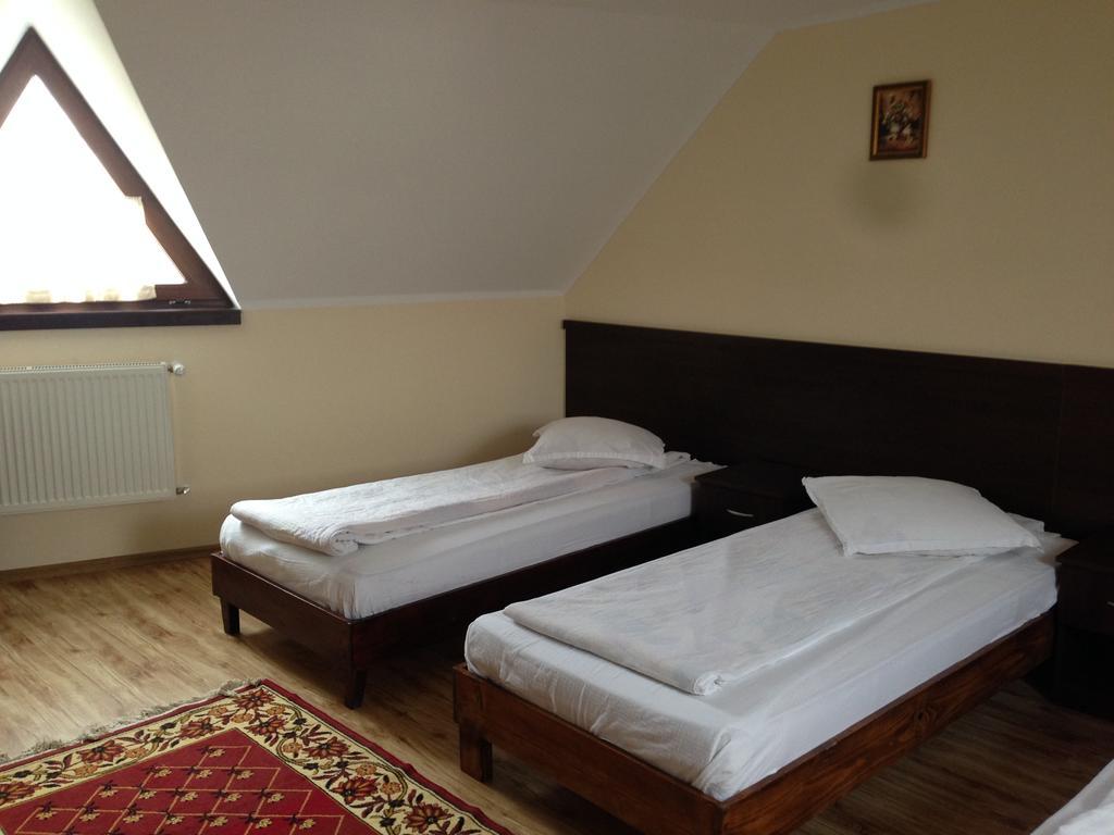 Pensiunea Diana Hotel Făgăraş Kültér fotó