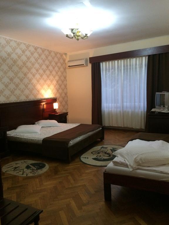 Pensiunea Diana Hotel Făgăraş Kültér fotó