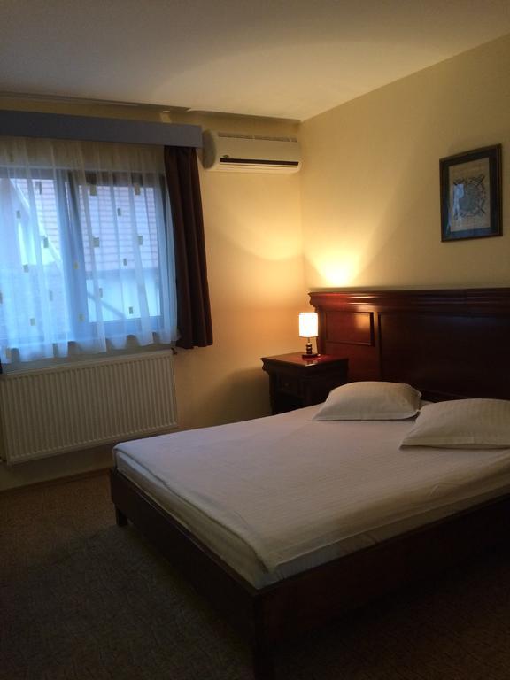 Pensiunea Diana Hotel Făgăraş Kültér fotó